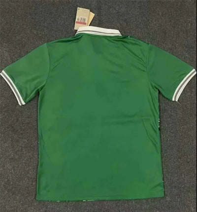 2023/2024 Nigeria National Team Home Football Shirt